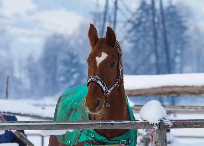 Apartamento Uhlerhof